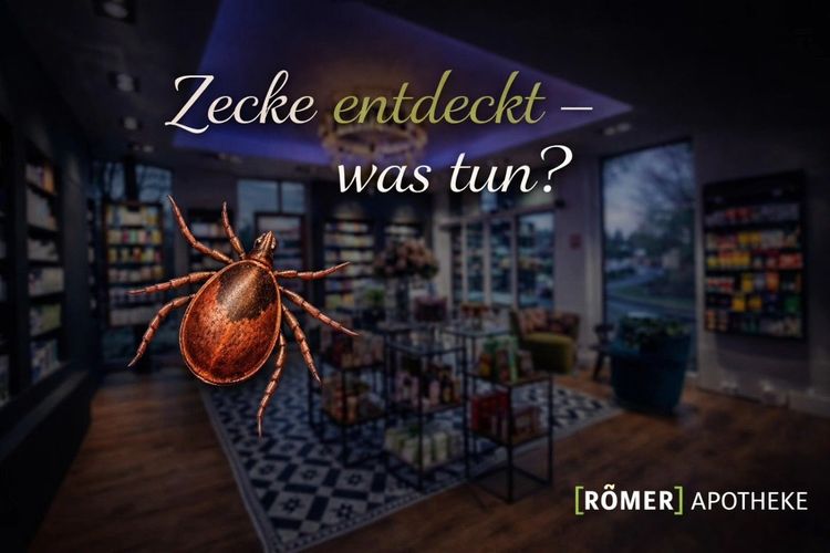Zecke entdeckt?