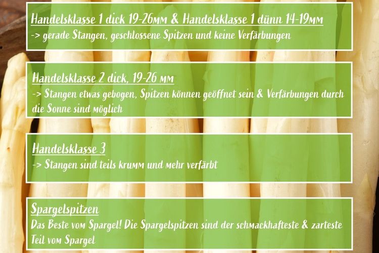 Wusstest du eigentlich...?