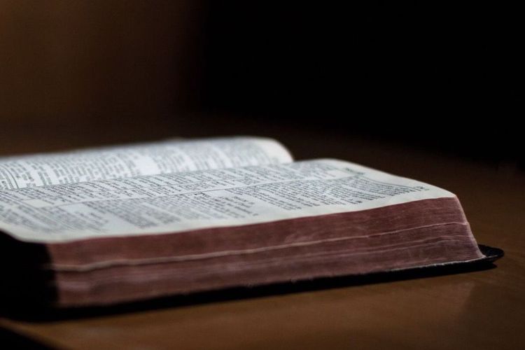 Sonntag, 11.1. | 10 Uhr Gottesdienst 