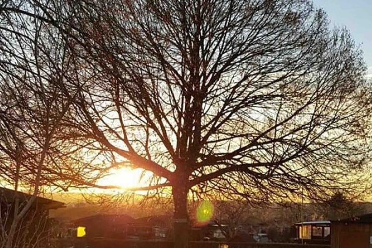 Osteraktion | 02.04. um 14 Uhr mit den Ostervorbereitungen