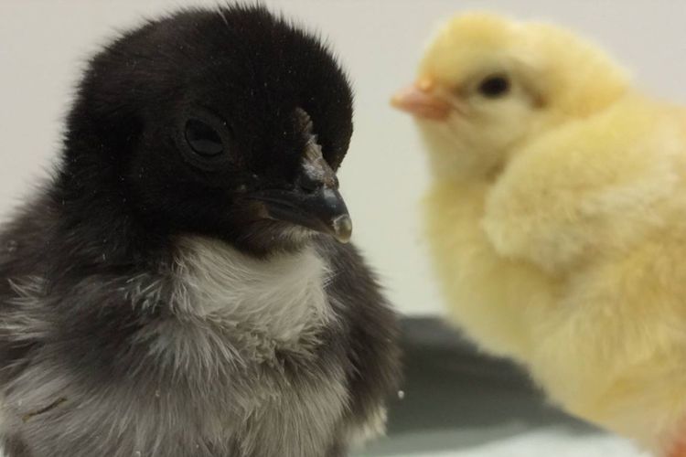 Einladung zur Jahreshauptversammlung 2023