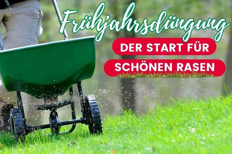 Frühjahrsdüngung