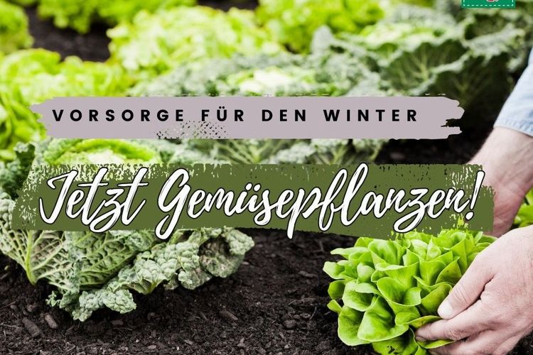 VORSORGE FÜR DEN WINTER