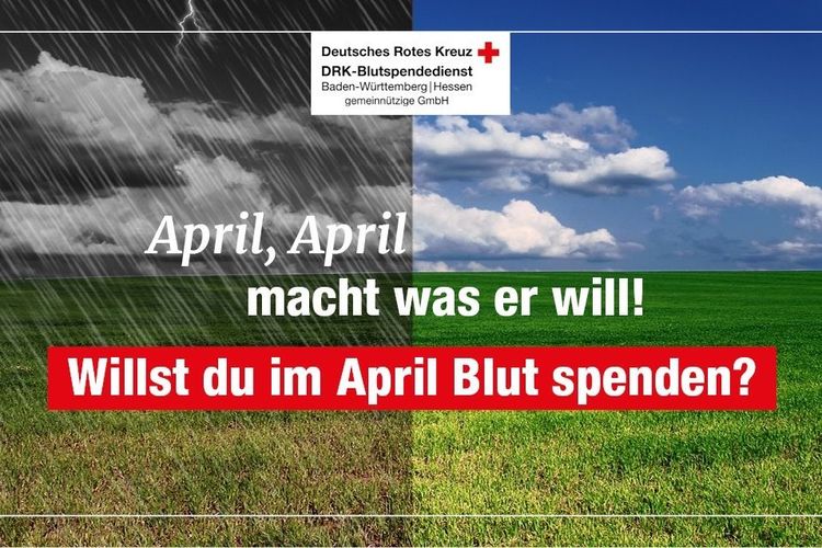 Willst Du Blut spenden?