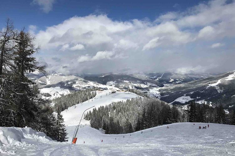 Mitgliederversammlung am Freitag, 23.6.2023