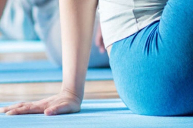 Abt. Gesundheit und Fitness