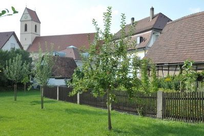 Einladung zum gemeinsamen Schnittkurs