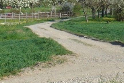 Busfahrt zur Straußenfarm und Fischzucht