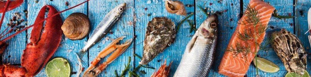 Titelbild von MEIN FISCH