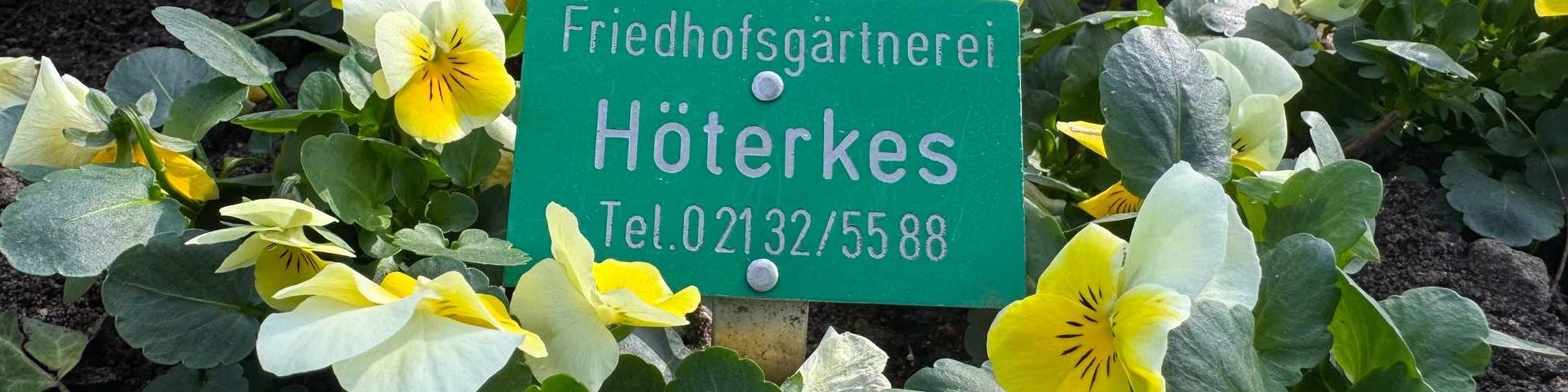 Titelbild von Friedhofsgärtnerei Höterkes