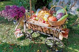 Sonntag, 1.10., Erntedank 11 Uhr Gottesdienst