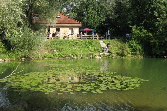 Der Fischereiverein Wendlingen e.V. wünscht frohe Weihnachten!