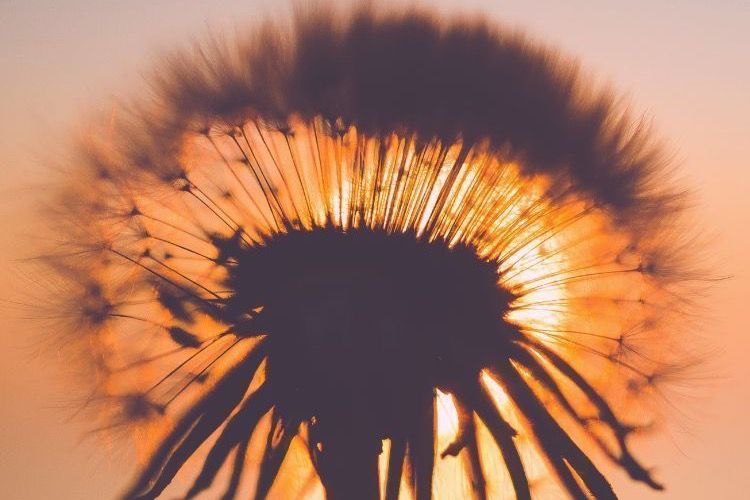 Sonntag, 20.11.  10 Uhr Gottesdienst Präsenzgottesdienst