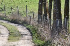 Warum eigentlich nicht…?