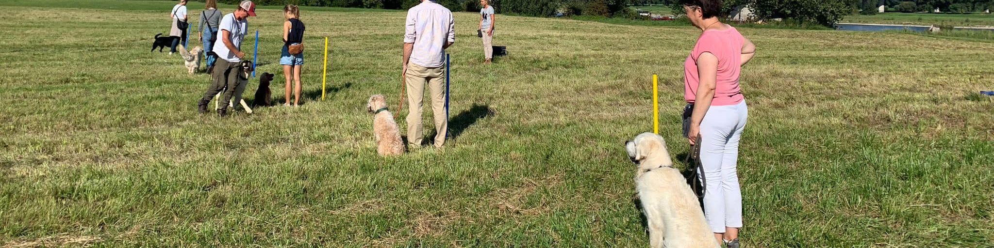 Titelbild von ARTGERECHT 