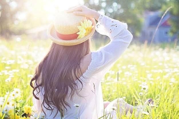 Wespennest: Was Mieter und Eigentümer wissen müssen