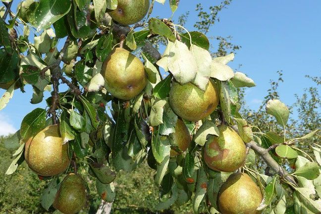Einladung zur ordentlichen Mitgliederversammlung