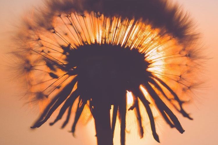 Präsenzgottesdienst und auch als Live-Stream auf Youtube