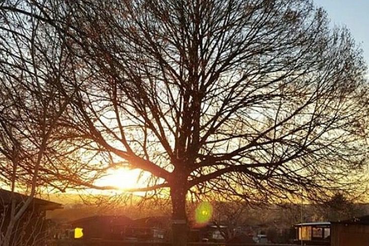 Mitgliederversammlung 