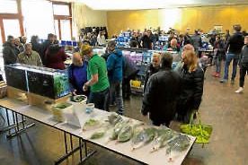 Zierfisch- und Pflanzenbörse