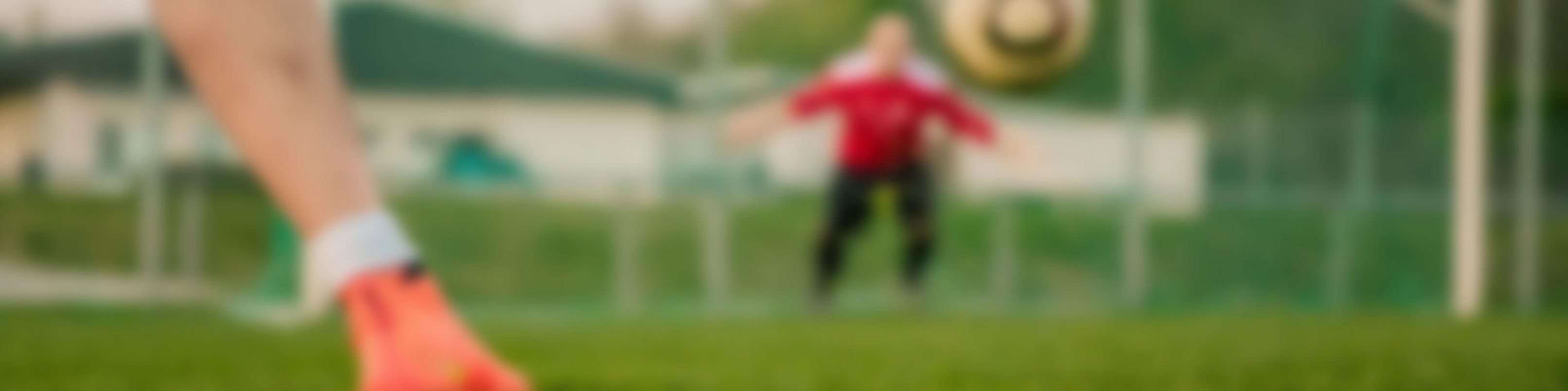 Titelbild von Förderverein Jugendfußball TV Unterboihingen e.V.