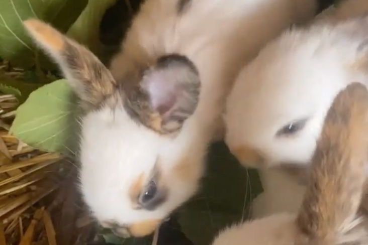 Einladung zur Mitgliederversammlung 