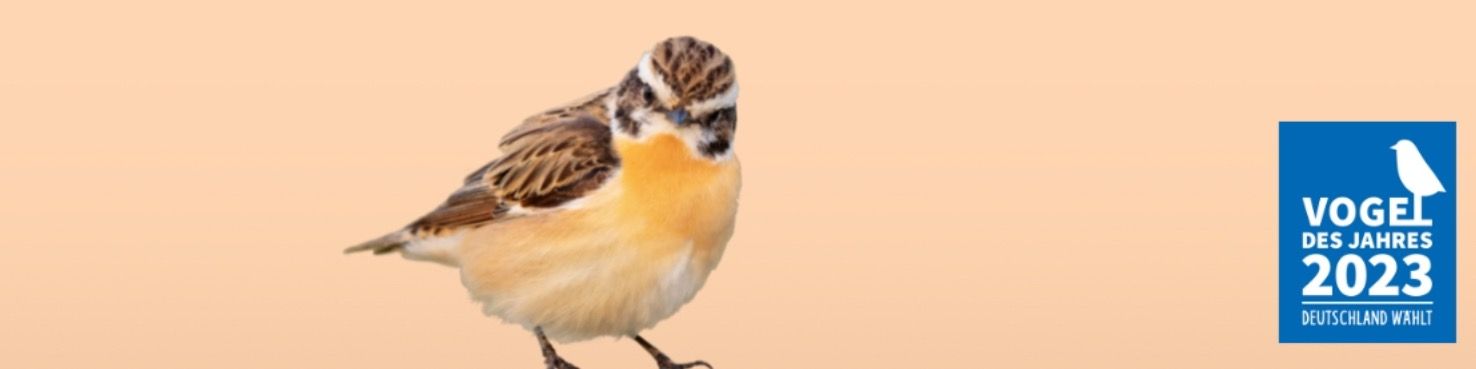 Titelbild von NABU - Naturschutzbund Ortsgruppe Meerbusch