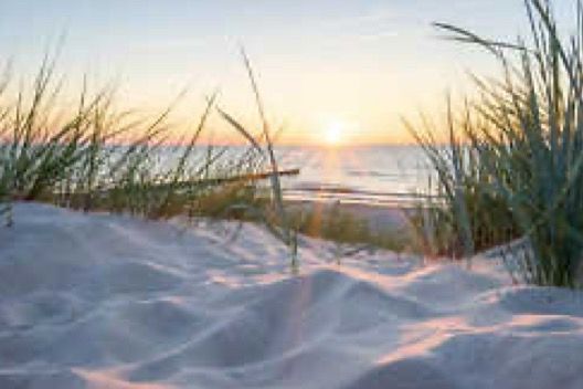 Vom 31.07. bis 11.09.23 ist die Volkshochschule in Wendlingen geschlossen. 