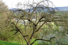 Einladung zum gemeinsamen Schnittkurs