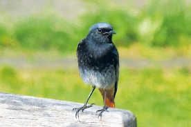 Termin zum Vormerken 