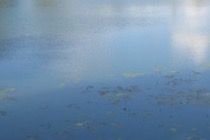Anfischen an den Aislinger Seen
