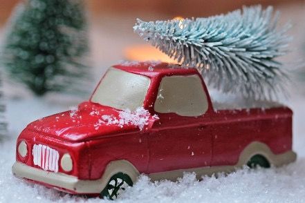 Christbaumsammlung