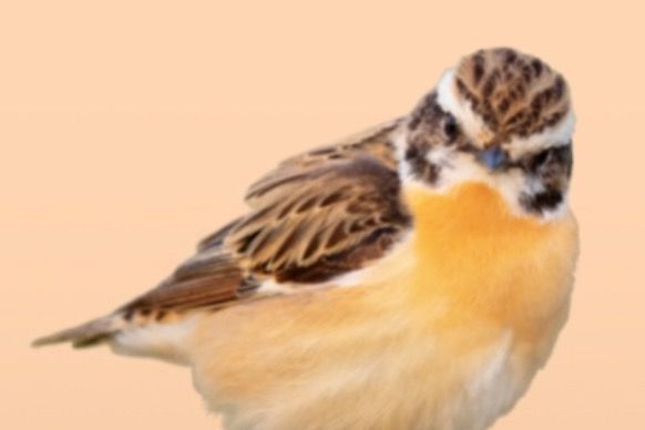 Jahresrückblick 2022 