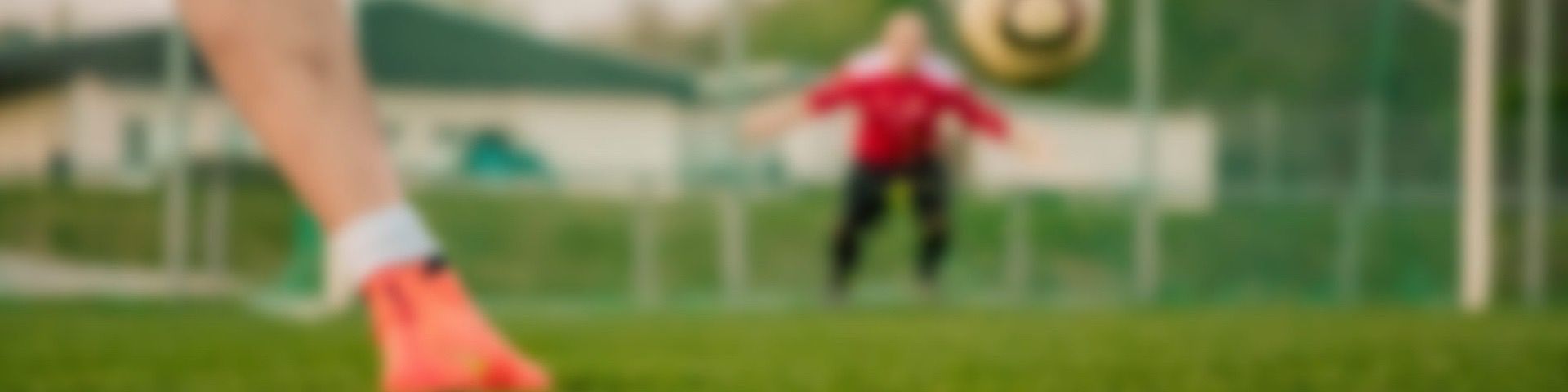 Titelbild von TV Unterboihingen | FUSSBALL SENIOREN