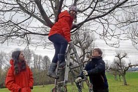 Jugendgruppe reinigt Nistkästen 