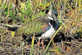 Jahresrückblick 2023 