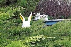 Wir haben eine dritte Mannschaft