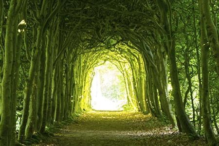 Sonntag, 12.02. 9.30 Uhr Gottesdienst