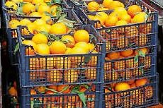 Donnerstag, 5. Dezember -Sonntag, 8. Dezember