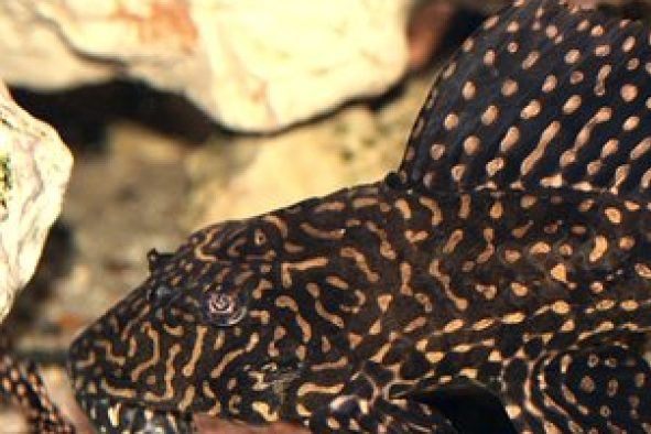 Einladung zur Jahreshauptversammlung 2024 