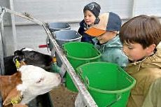 Besuch der Vorschüler auf dem Benzenfurt-Hof
