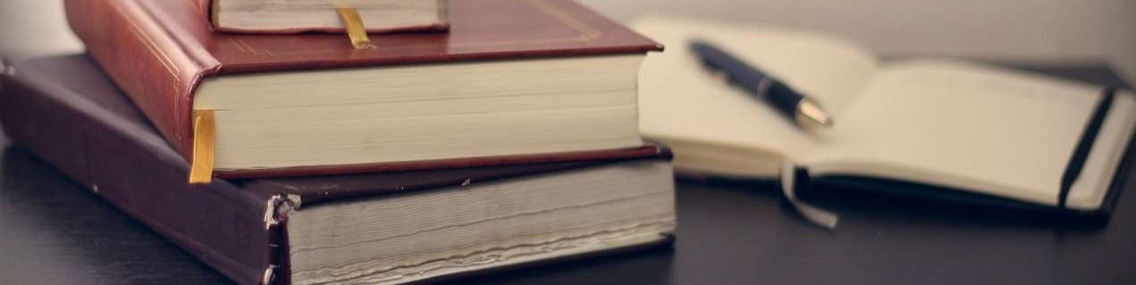 Titelbild von Die Rechtsanwälte: Malecha und Stübing