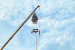 Rückblick Maibaumfest 