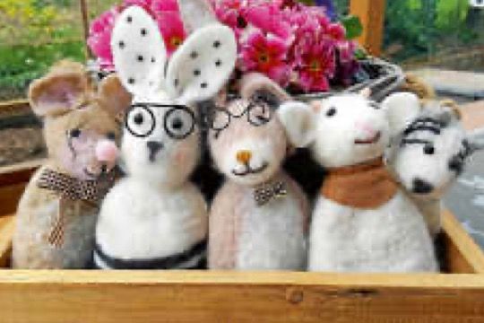 Ligawettkampf GK Pistole/Revolver Bezirksliga