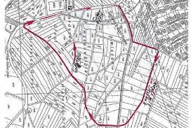 Streuobstwiesenwanderung