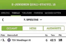 Staffelsieg für unsere E3 Junioren