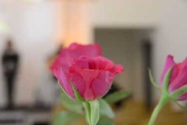 Einladung zum Gottesdienst um 10 Uhr mit einem geistlichen Impuls.