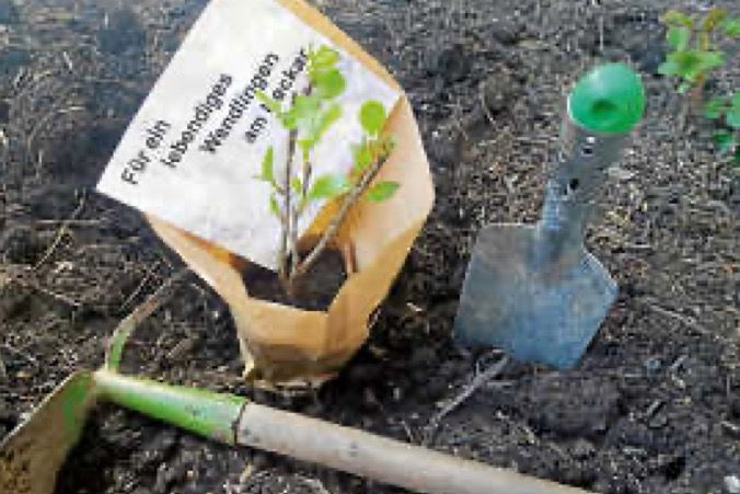 Let it grow, let it grow, let it grow!