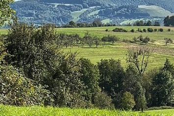 Wanderung nach Kirchheim/Teck 