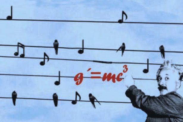 »Donnerwetter, was für ein Klang«